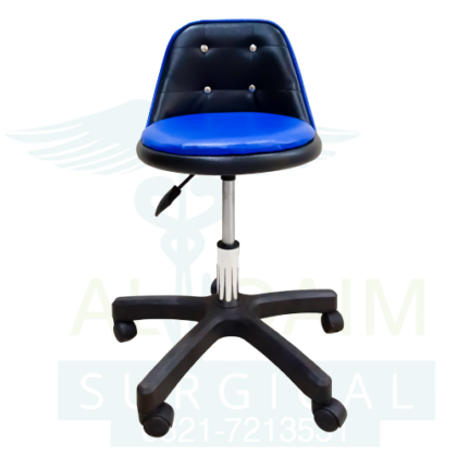 Hydraulic Stool With Back Rest